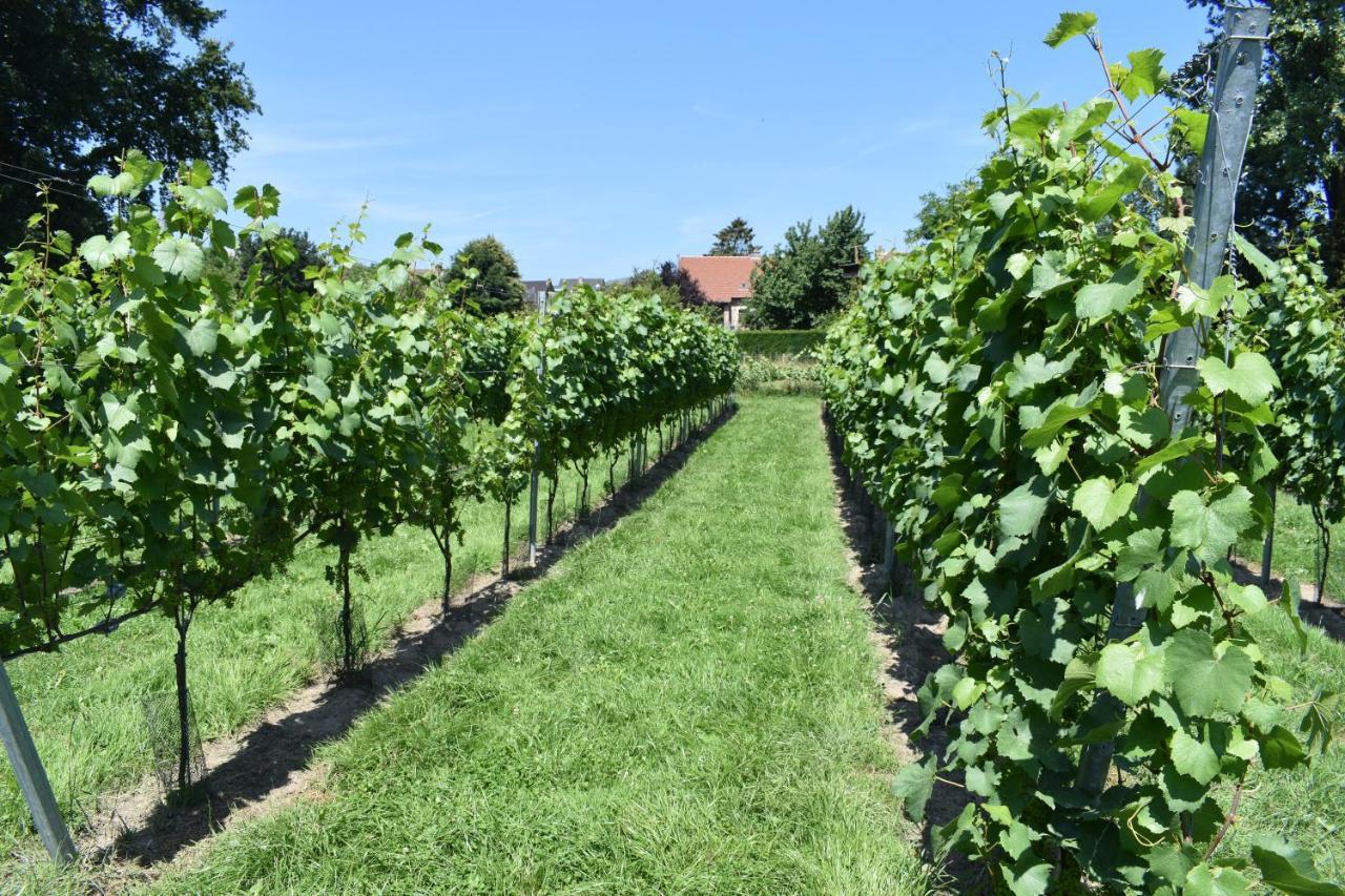 B&B Gellick Lanaken Buitenkant foto